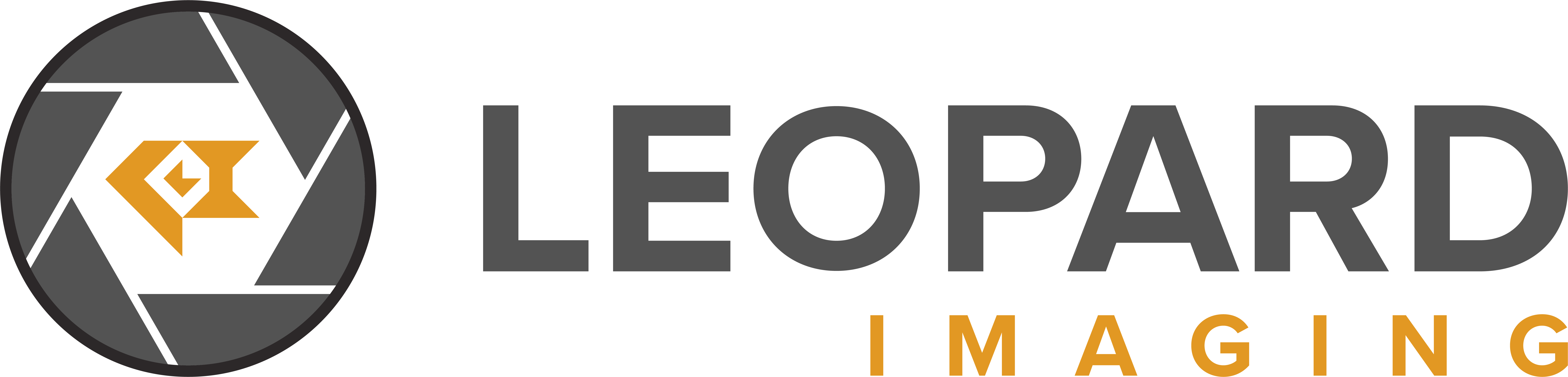 Leopard Imaging Logo H Leopard Imaging Logo H